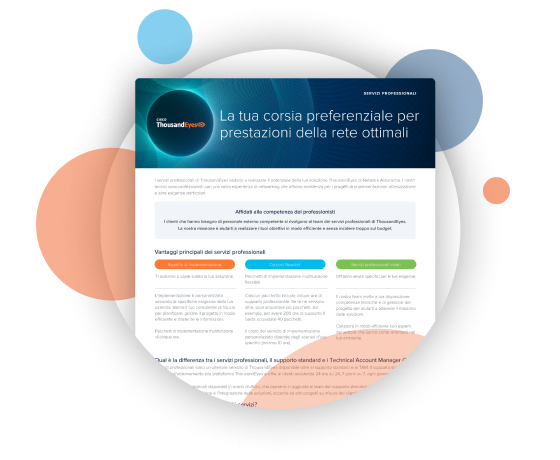 Professional Services Overview