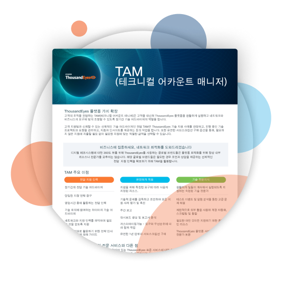 TAM Overview