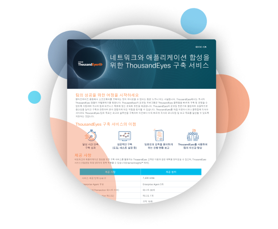 Implementation Service for Network and Application Synthetics