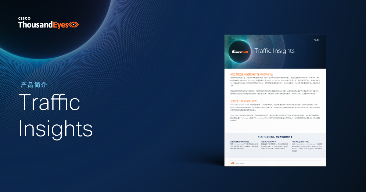 Traffic Insights(02)